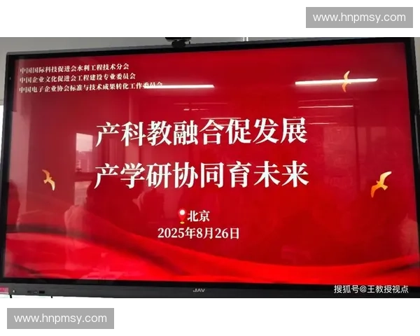 以协调敏感为核心推动系统协同与稳健发展的创新路径实践探索与能力提升